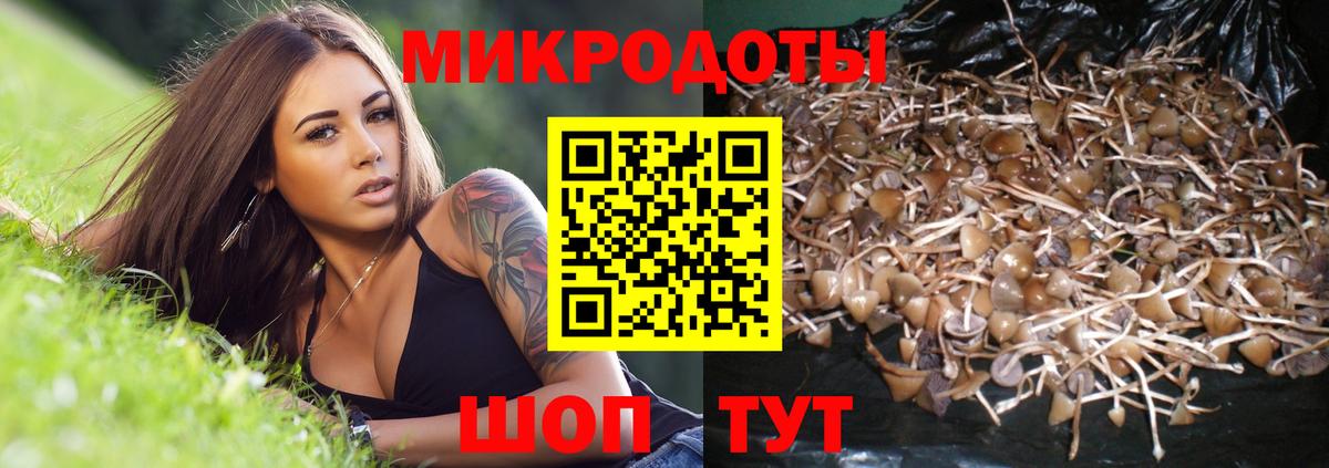 Галлюциногенные грибы GOLDEN TEACHER Соликамск