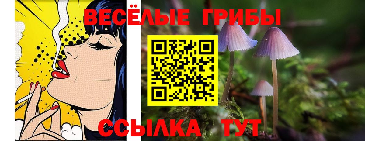 наркошоп  Псилоцибиновые грибы мухоморы  Вход с VPN  Соликамск 